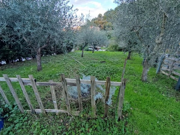 terreno agricolo in vendita a Carrara in zona Codena