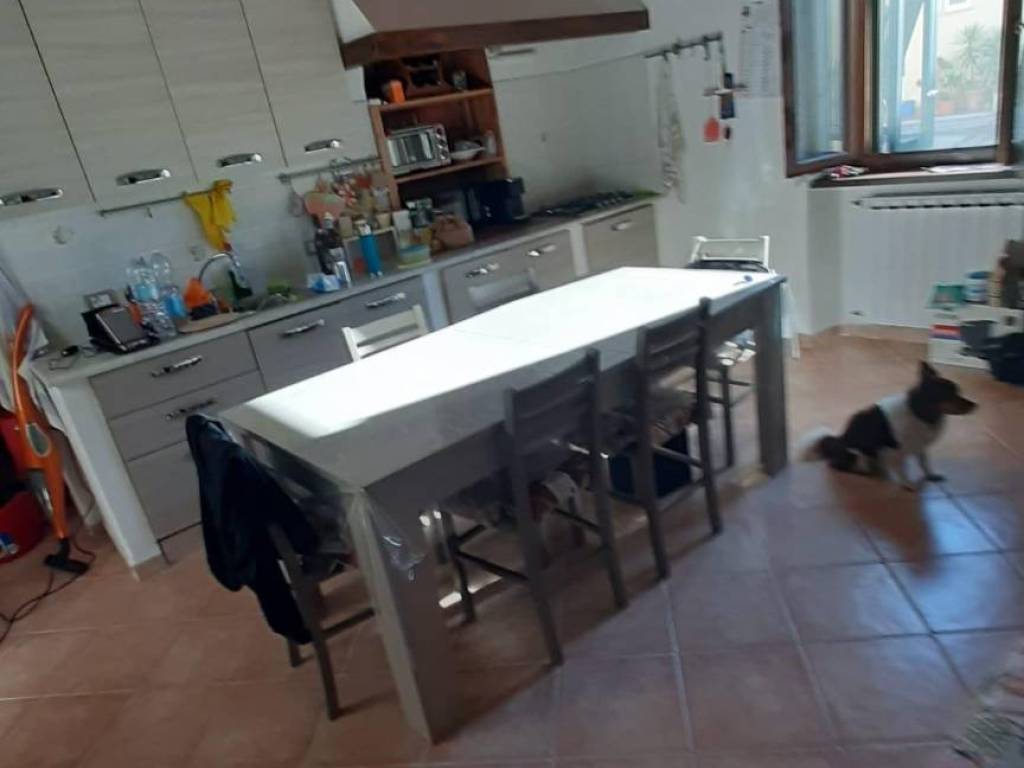 casa semindipendente in vendita a Carrara in zona Avenza