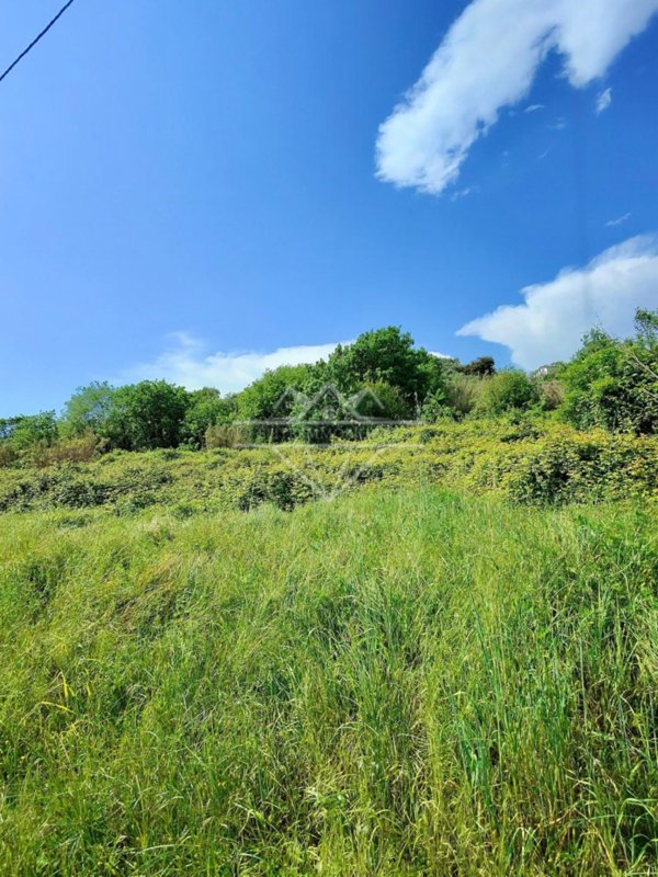 terreno agricolo in vendita a Carrara in zona Fossone