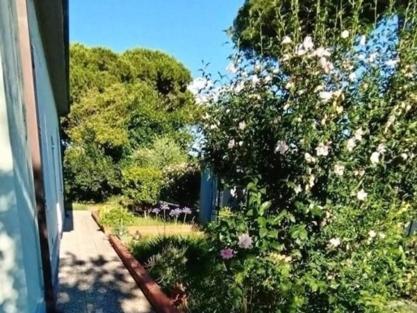 casa indipendente in vendita a Carrara in zona Stadio