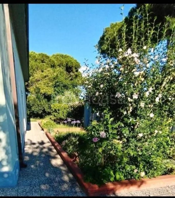 casa indipendente in vendita a Carrara in zona Sant'Antonio