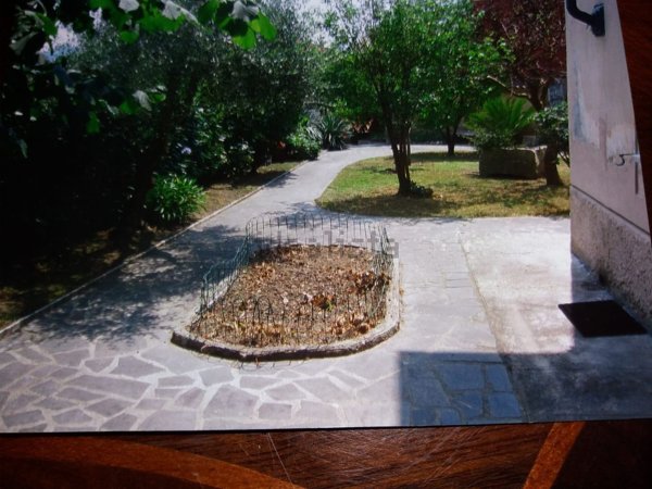 casa indipendente in vendita a Carrara in zona Fossola