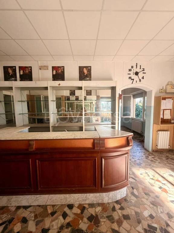 immagine annuncio 0 di 15
