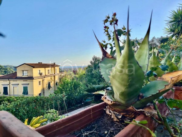 appartamento in vendita a Carrara in zona Centro Città