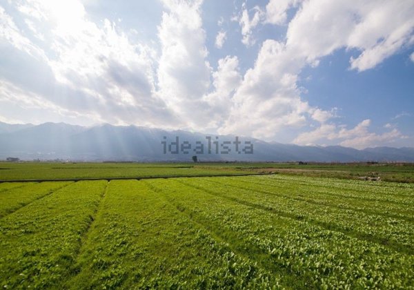 terreno agricolo in vendita a Carrara in zona Battilana