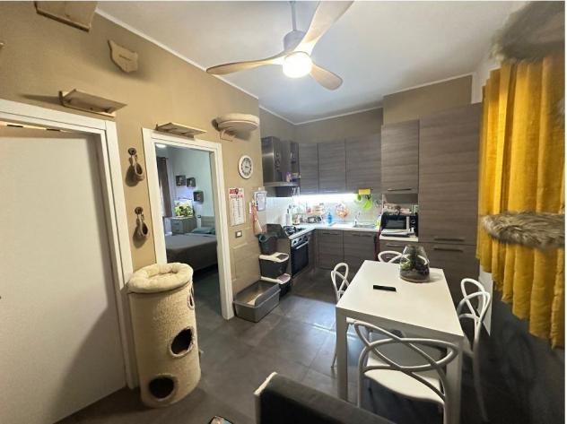 appartamento in vendita a Carrara in zona Fossone