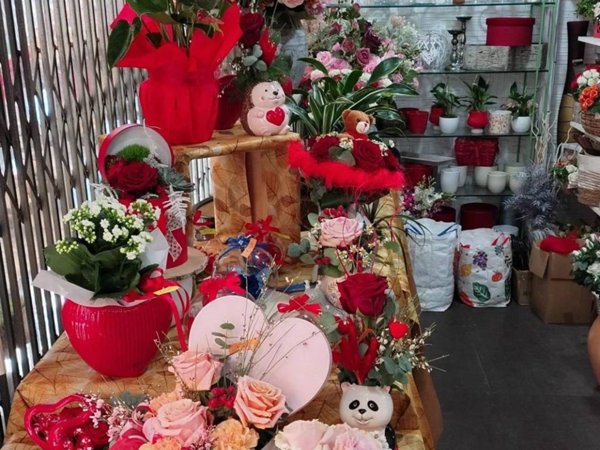 negozio in vendita a Carrara in zona Avenza