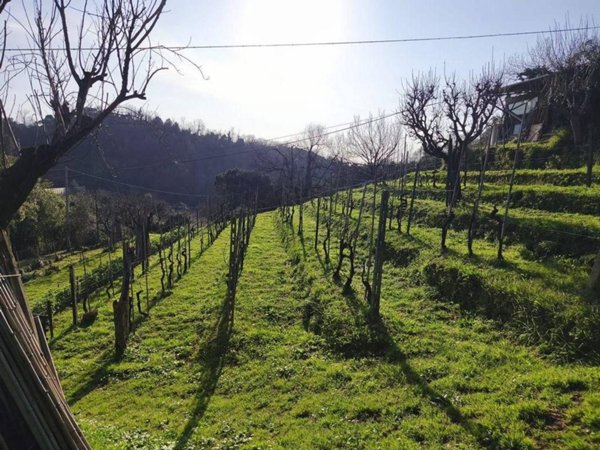casa indipendente in vendita a Carrara in zona Nazzano