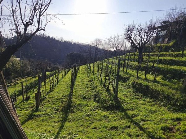 casa indipendente in vendita a Carrara