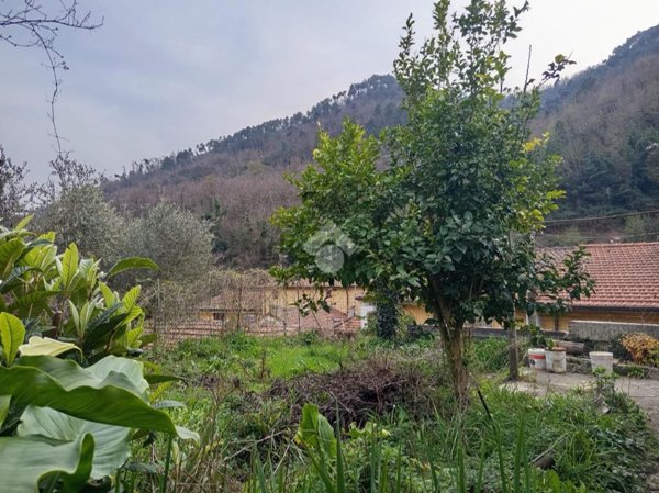 appartamento in vendita a Carrara in zona Gragnana