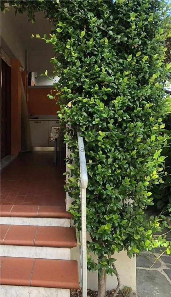 appartamento in vendita a Carrara in zona Avenza