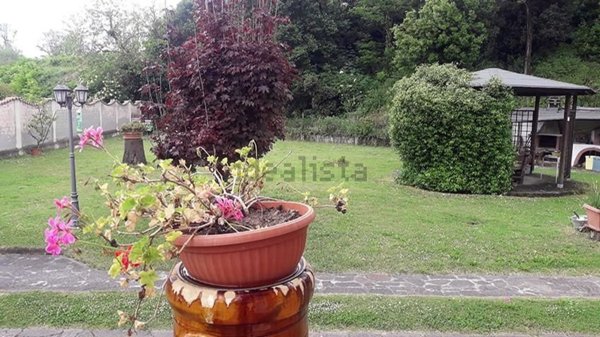 casa semindipendente in vendita a Carrara in zona Avenza