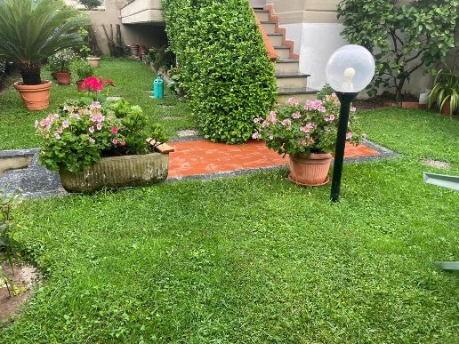 casa indipendente in vendita a Carrara in zona Avenza