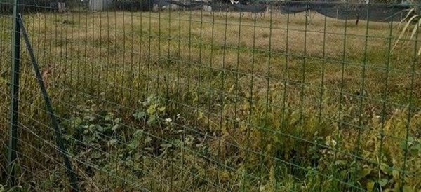 terreno agricolo in vendita a Carrara in zona Avenza