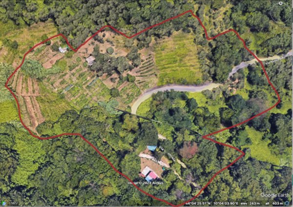 terreno agricolo in vendita a Carrara in zona Fontia