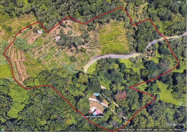 terreno agricolo in vendita a Carrara in zona Fontia