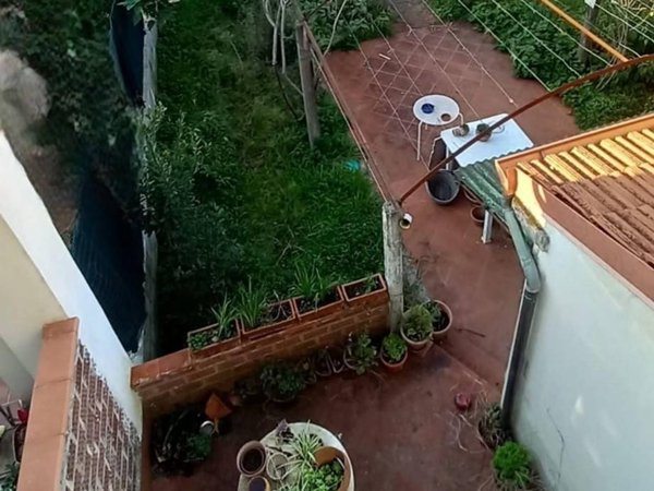 immagine annuncio 0 di 15