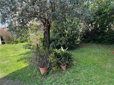 casa indipendente in vendita a Carrara