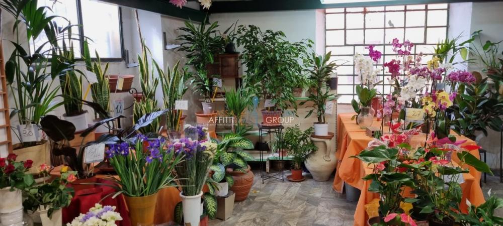 negozio in vendita a Carrara