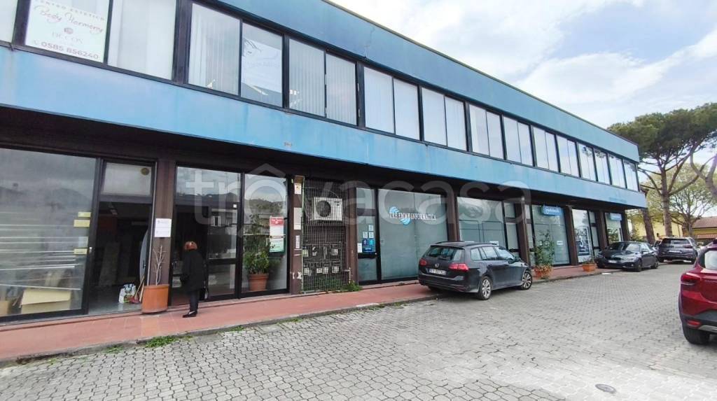 negozio in vendita a Carrara in zona Avenza