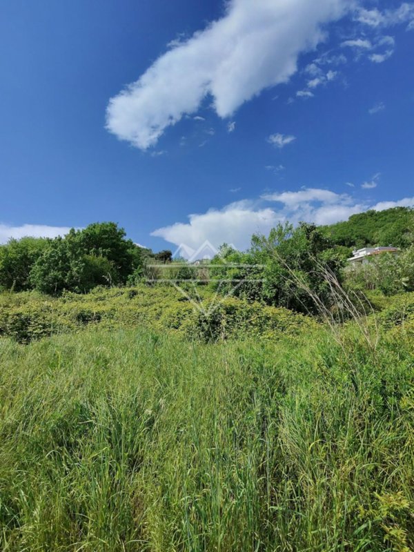 terreno agricolo in vendita a Carrara in zona Fossone