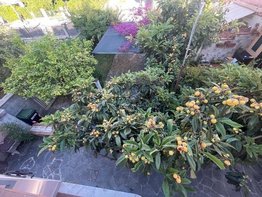 casa indipendente in vendita a Carrara in zona Marina di Carrara