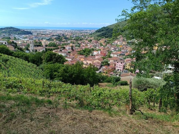 terreno agricolo in vendita a Carrara in zona Fossola