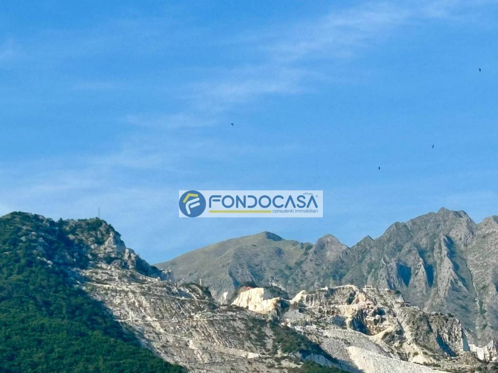appartamento in vendita a Carrara