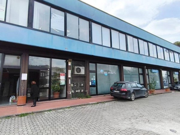 negozio in vendita a Carrara in zona Avenza