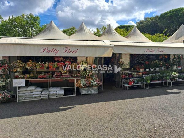 appartamento in vendita a Carrara in zona Sant'Antonio