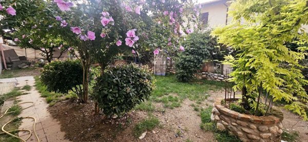 casa indipendente in vendita a Carrara in zona Avenza