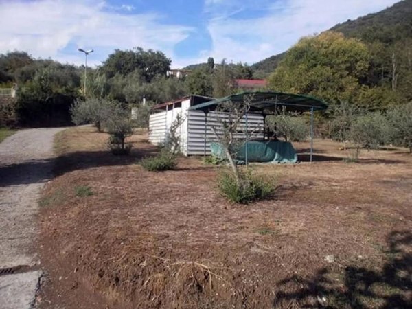 terreno agricolo in vendita a Carrara in zona Fossone