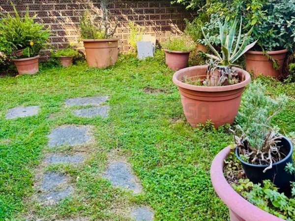 casa indipendente in vendita a Carrara in zona Marina di Carrara
