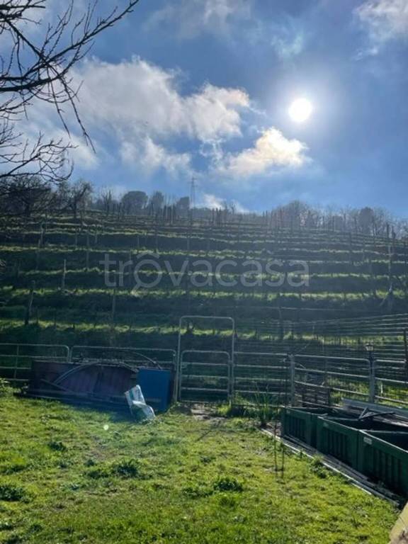 terreno agricolo in vendita a Carrara