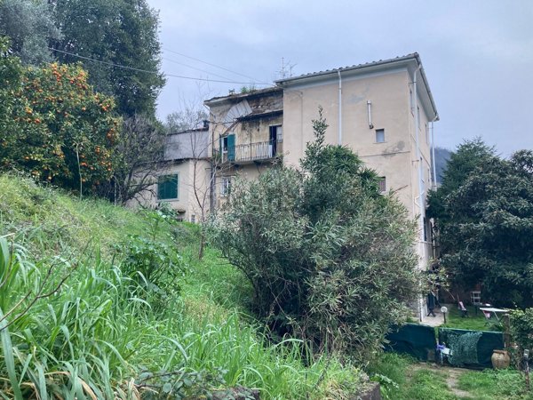 immagine annuncio 0 di 1