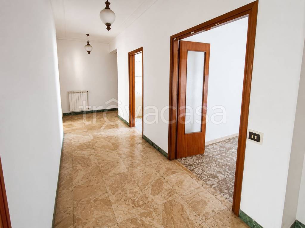immagine annuncio 0 di 15
