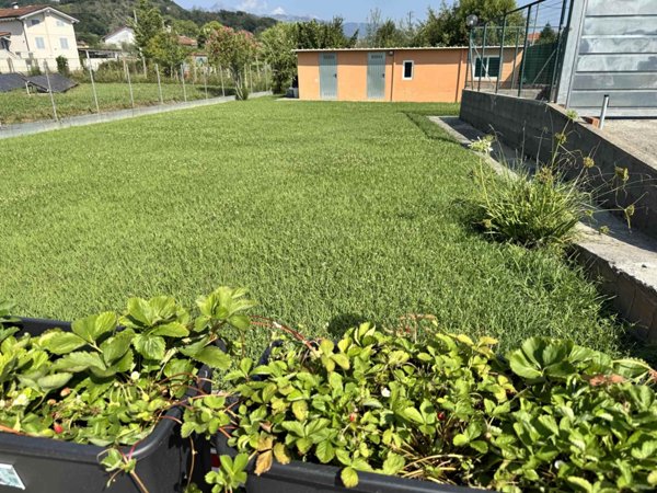 casa indipendente in vendita a Carrara in zona Fossone