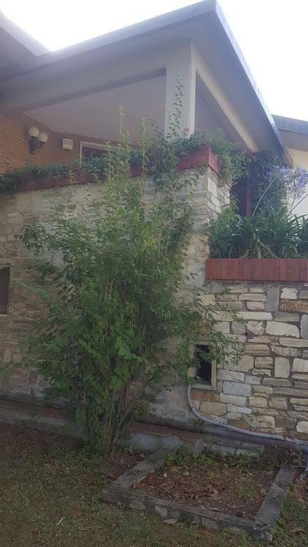 casa indipendente in vendita a Carrara in zona Marina di Carrara