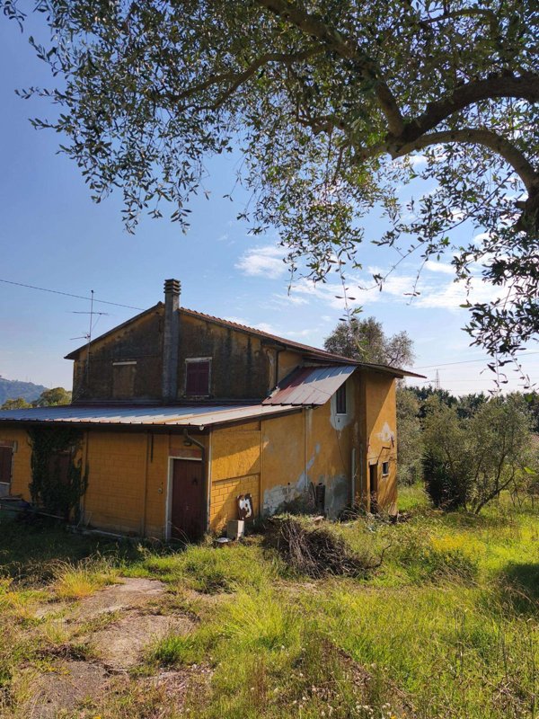 intera palazzina in vendita a Carrara in zona Monteverde