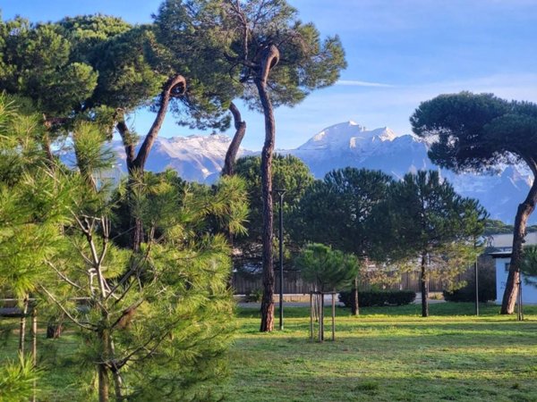 appartamento in vendita a Carrara in zona Marina di Carrara