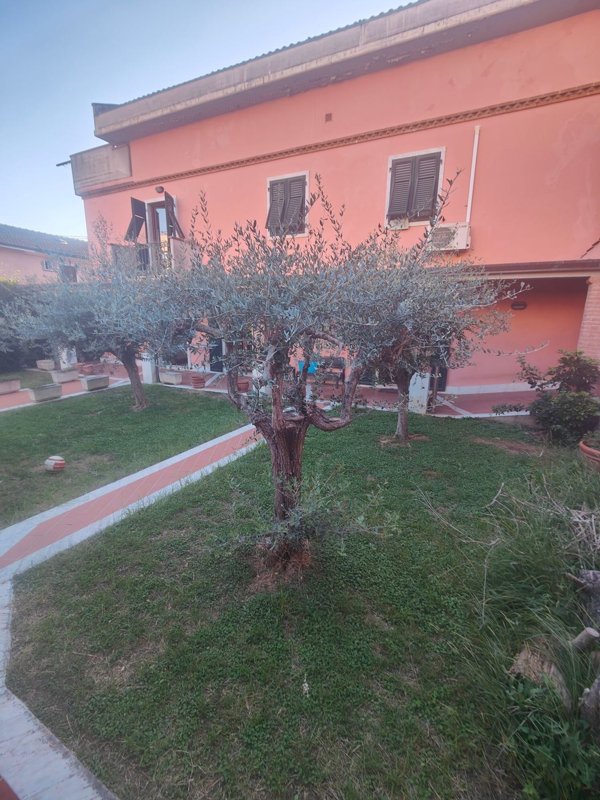 casa indipendente in vendita a Carrara in zona Fossola