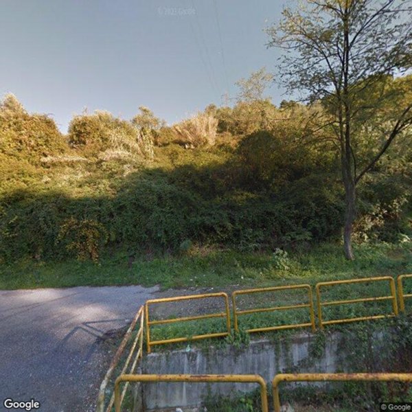 terreno agricolo in vendita a Carrara in zona Bonascola