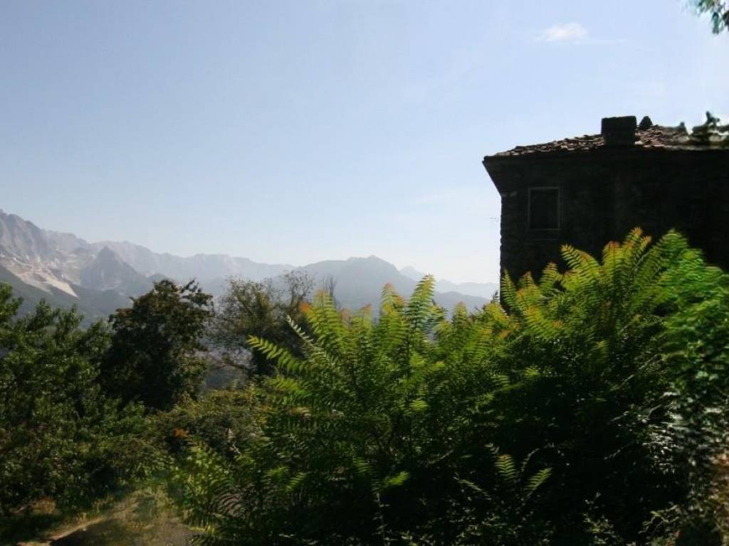 casa indipendente in vendita a Carrara in zona Fontia