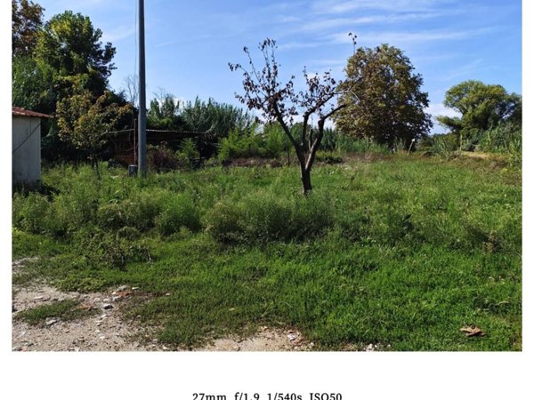 terreno agricolo in vendita a Carrara in zona Battilana