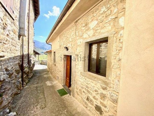 pentavano in vendita a Casola in Lunigiana in zona Castiglioncello