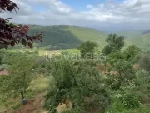 casa indipendente in vendita a Casola in Lunigiana
