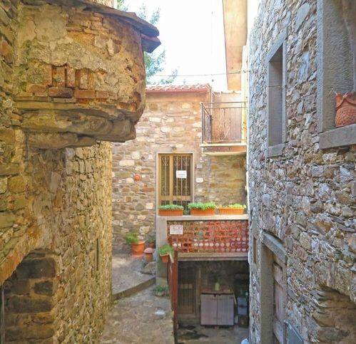casa indipendente in vendita a Casola in Lunigiana in zona Luscignano