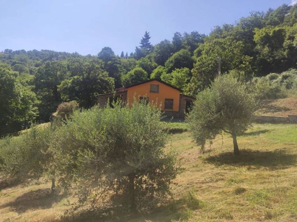 casa indipendente in vendita a Comano