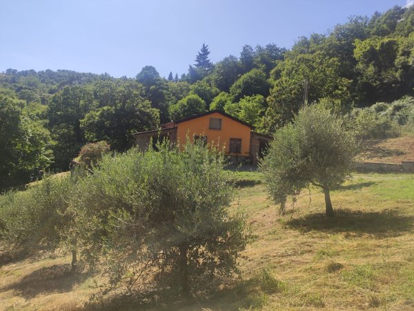 casa indipendente in vendita a Comano