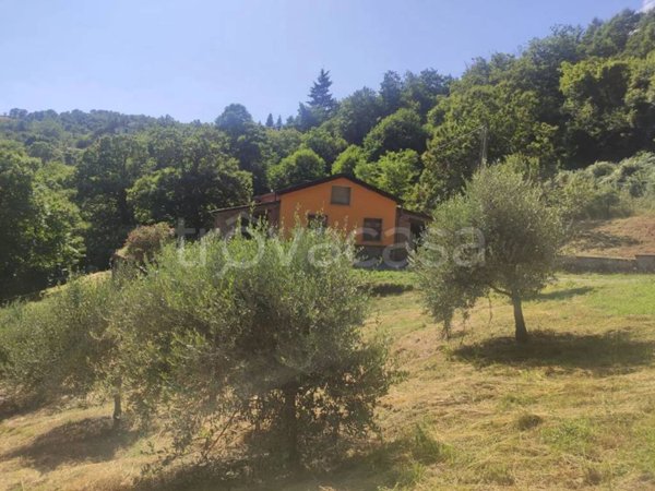 casa indipendente in vendita a Comano